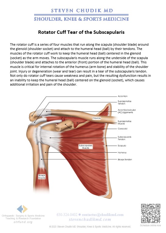 Scapula tear deals